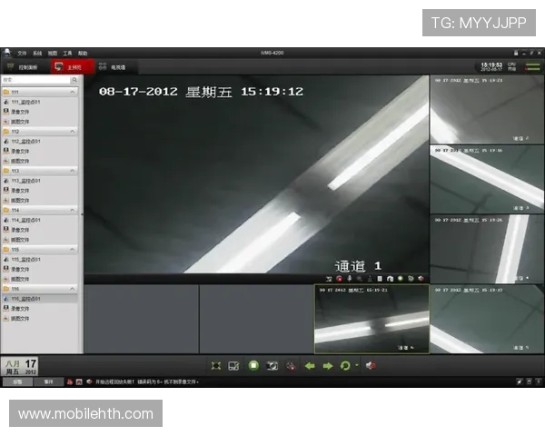 T8体育平台的客户服务与技术支持体系全面解析帮助用户无忧体验