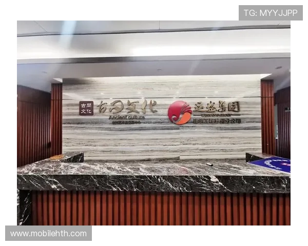 华体会会员登录过程中常见的安全验证措施及注意事项