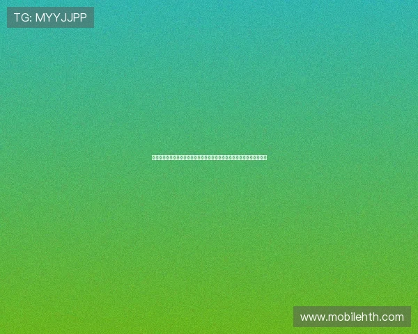 华体之星体育数字化平台打造权威世界杯报道专区满足球迷多样化资讯需求